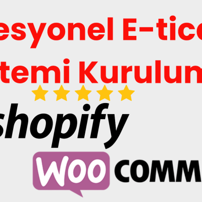 Profesyonel E-Ticaret Sistemi Kurulumu